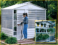 Greenhouse 8'x6' by Arrow Sheds